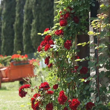 Country house Casa Al Moro