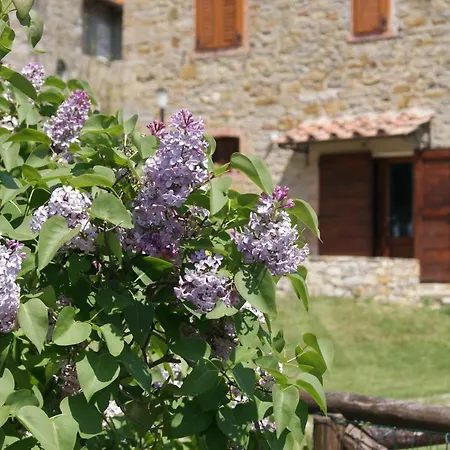 Country house Casa Al Moro *