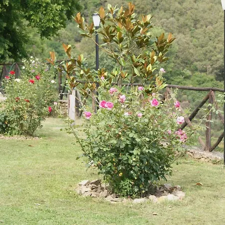 Casa Al Moro *